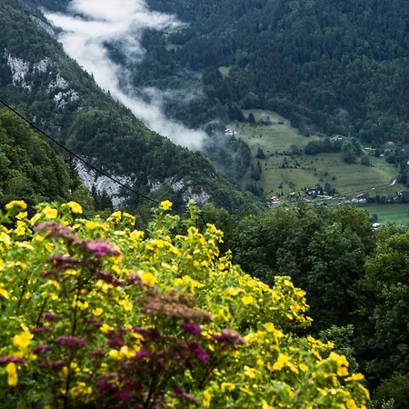 Drozin - Auvents Mountain & Cosy 12 Pers * Abondance