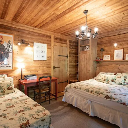 Drozin - Auvents Mountain & Cosy 12 Pers