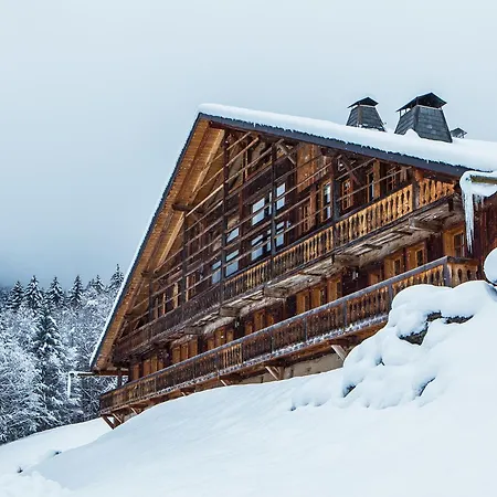 Drozin - Auvents Mountain & Cosy 12 Pers Abondance