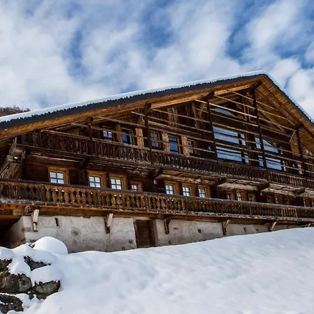 Drozin - Auvents Mountain & Cosy 12 Pers * Abondance