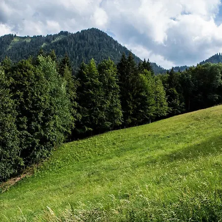 Apartment Drozin - Auvents Mountain & Cosy 12 Pers