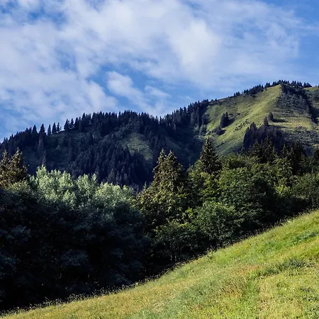 Drozin - Auvents Mountain & Cosy 12 Pers * Abondance