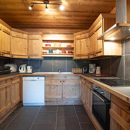 Drozin - Auvents Mountain & Cosy 12 Pers * Abondance